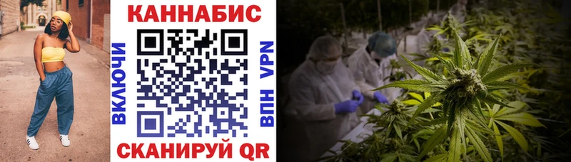 Купить наркотик аптеки Шагонар ГАШИШ  СОЛЬ  МЕФ  Конопля 