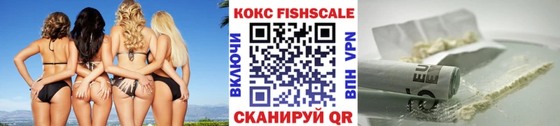 где продают наркотики  Шагонар  Кокаин Columbia 